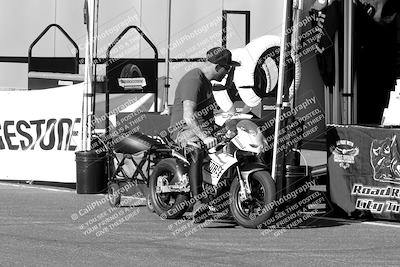 media/Oct-06-2023-Apex Assassins (Fri) [[5cb57a08ab]]/Around the Pits/